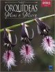 Livro Orquídeas Mini E Micro – Coleção Rubi, Vol. 4