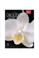 Livro Orquídeas Phalaenopsis – Coleção Rubi, Vol. 6