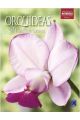 Livro Orquídeas Walkeriana – Coleção Rubi, Vol. 9