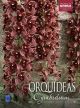 Livro Orquídeas Cymbidium – Coleção Rubi, Vol. 7
